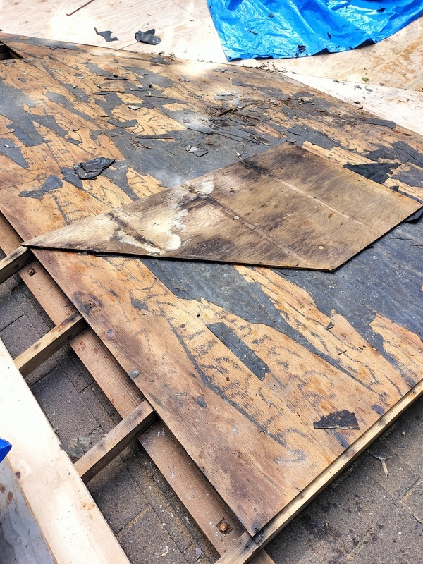 IMG20250923084732_コピー